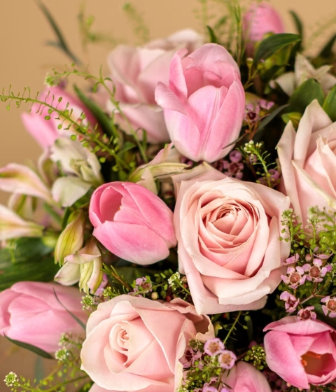 Spring Blush