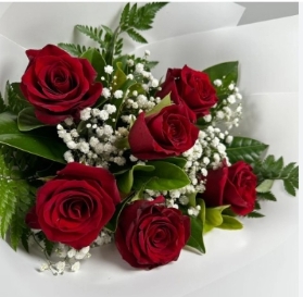 6 Red Roses with Baby Breath